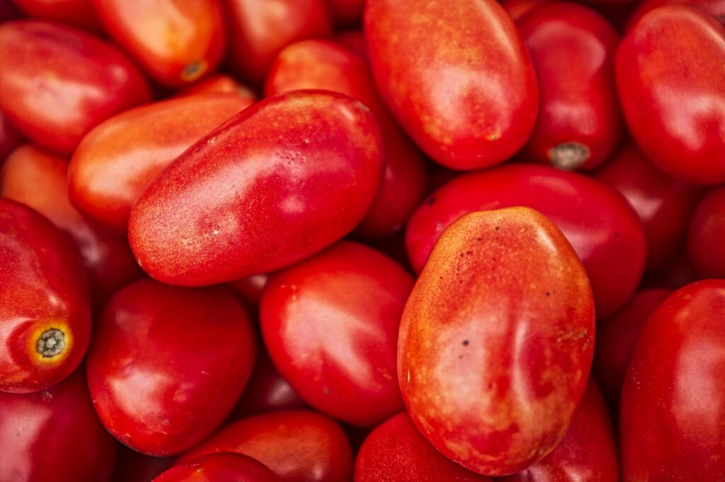 red tomato lot