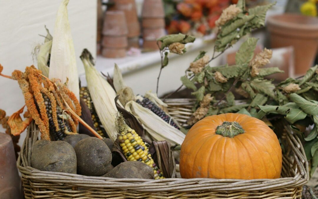 What Fall Foods Are Best for You and Your Family?