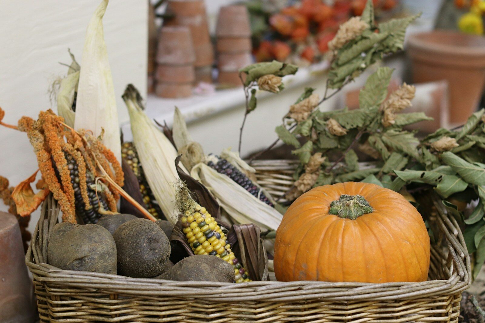 Photo by T Wicker basket filled with autumn harvest vegetables. The best fall foods for your family are delicious and healthy!